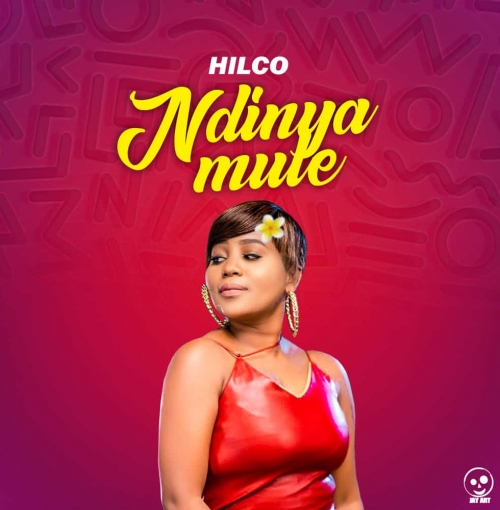 Hilco-Ndinyamule (prod. Tricky Beats)